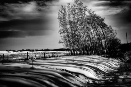 Effects of the Local Winds of North America