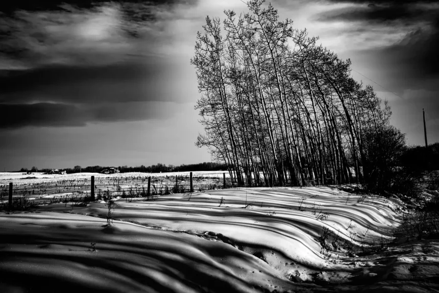 Effects of the Local Winds of North America
