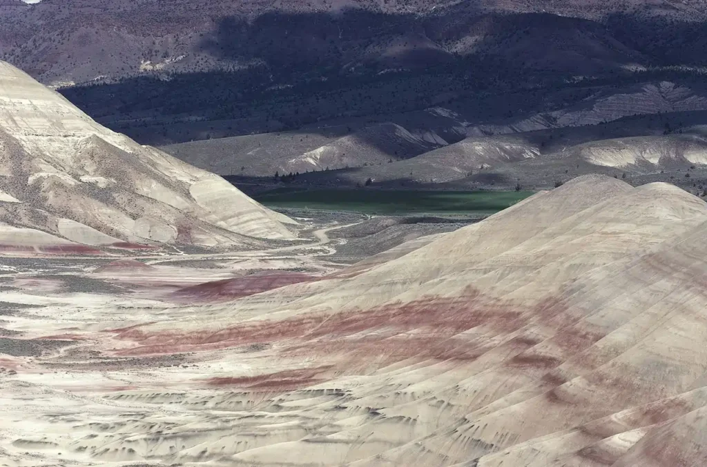 10 Most Popular Fossil Sites in the USA - Best Spots for Fossil Lovers 4 Most Popular Fossil Sites in the USA