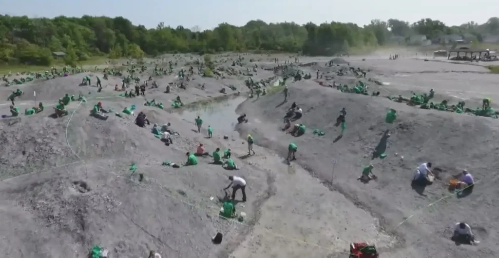 10 Most Popular Fossil Sites in the USA - Best Spots for Fossil Lovers 6 Most Popular Fossil Sites in the USA