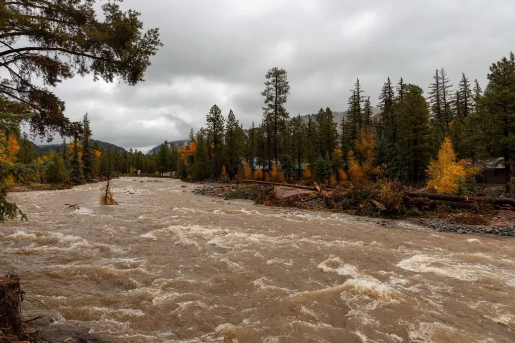 The 5 Most Disaster-Hit US States in 2025: Shocking Damage & Hard Lessons 11 5 Most Disaster-Hit US States in 2025
