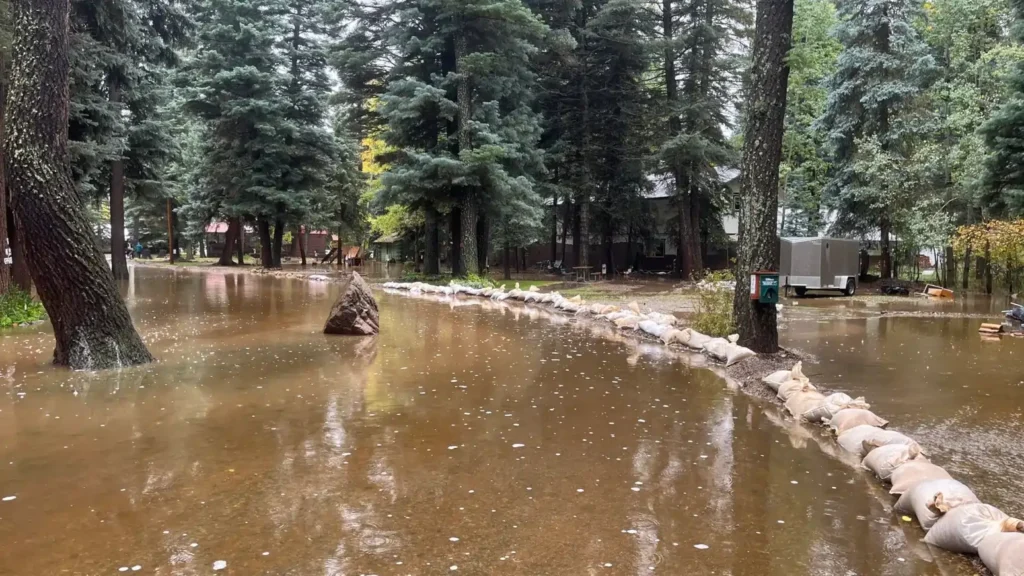 The 5 Most Disaster-Hit US States in 2025: Shocking Damage & Hard Lessons 10 5 Most Disaster-Hit US States in 2025