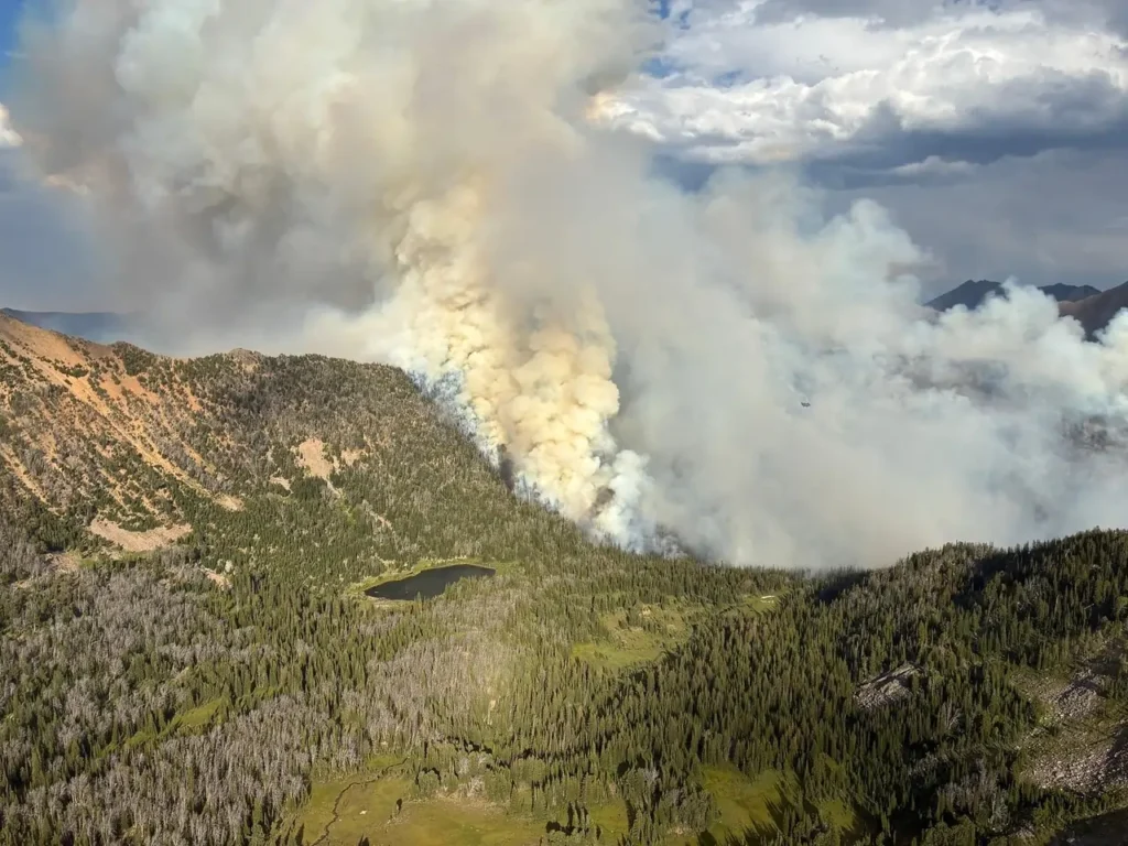 5 Most Destructive Wildfires in the US in 2025: Damage, Causes & Lessons We Cannot Ignore 3 Most Destructive Wildfires in the US in 2025