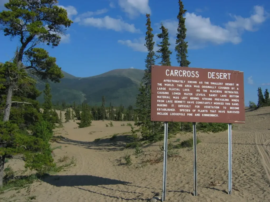 Smallest Desert in the World: 6 Lesser-known Facts about This Tiny Patch of Wild Nature 3 The world's smallest desert