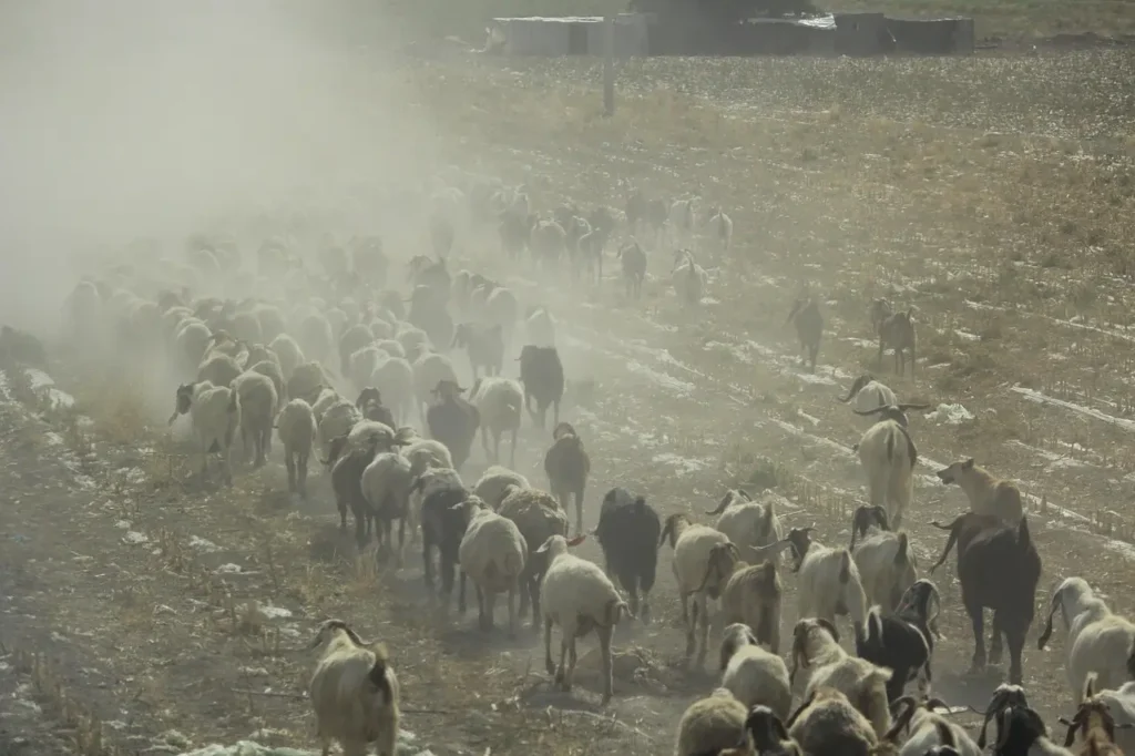 How the World’s Deserts Are Changing? 7 Alarming Realities of the World’s Most Extreme Regions 3 How the World's Deserts Are Changing