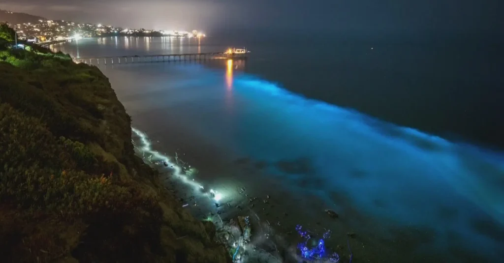 Amazing Natural Events for Your 2026 Bucket List: Spectacles You Must Not Miss 4 Amazing Natural Events