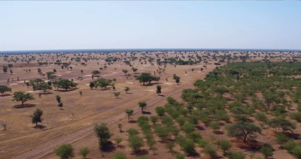 How the World’s Deserts Are Changing? 7 Alarming Realities of the World’s Most Extreme Regions 7 How the World's Deserts Are Changing