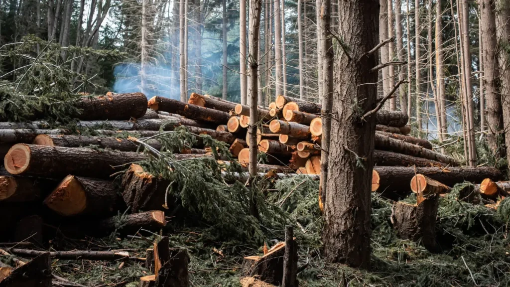 The Critical Role of Invasive Species in Biodiversity: 10 Impacts of the Aliens 2 Role of Invasive Species in Biodiversity