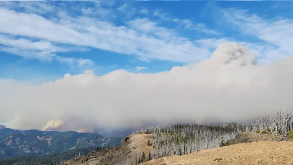 5 Most Destructive Wildfires in the US in 2025: Damage, Causes & Lessons We Cannot Ignore 5 Most Destructive Wildfires in the US in 2025