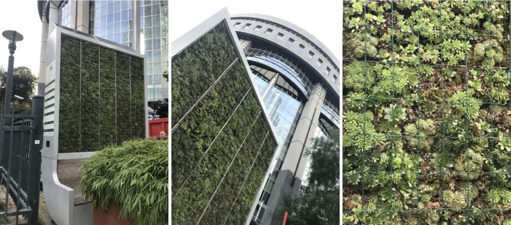 Unique Energy Generation Techniques Offering 10 Breakthrough Solutions in a Planet Running Out of Options 2 Unique Energy Generation Techniques