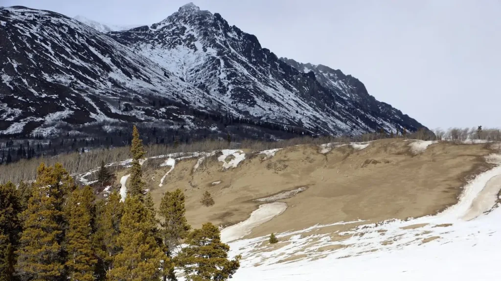 Smallest Desert in the World: 6 Lesser-known Facts about This Tiny Patch of Wild Nature 2 The valley winds swept the sand and deposited at the dried glacial lake Watson to form Carcross Desert.