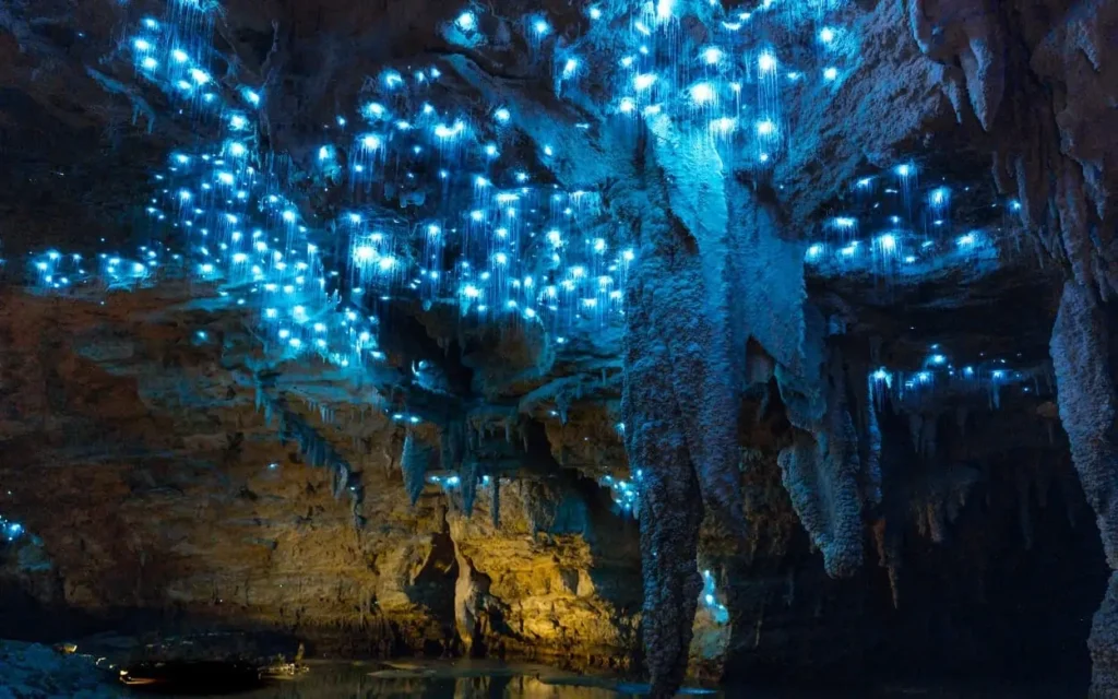 Thrilling Tourist Spots: 15 Mind-Blowing Destinations Built for Pure Adrenaline 15 Thrilling Tourist Spots - Waitomo Glowworm Caves, New Zealand